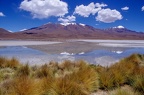 Hedionda lagoon on Santa de Ayes National Park in Bolivia andes