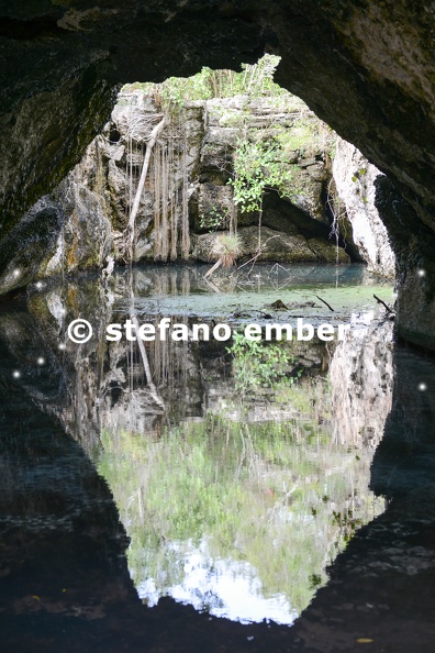 Forest_with_a_cenote_at_Giron.jpg