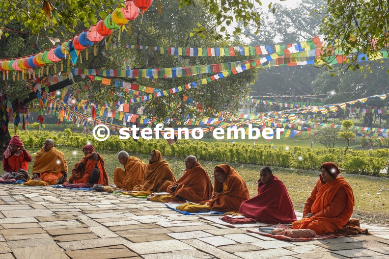 Monks praying at Maya Devi temple birth place of Buddha in Lumbini
