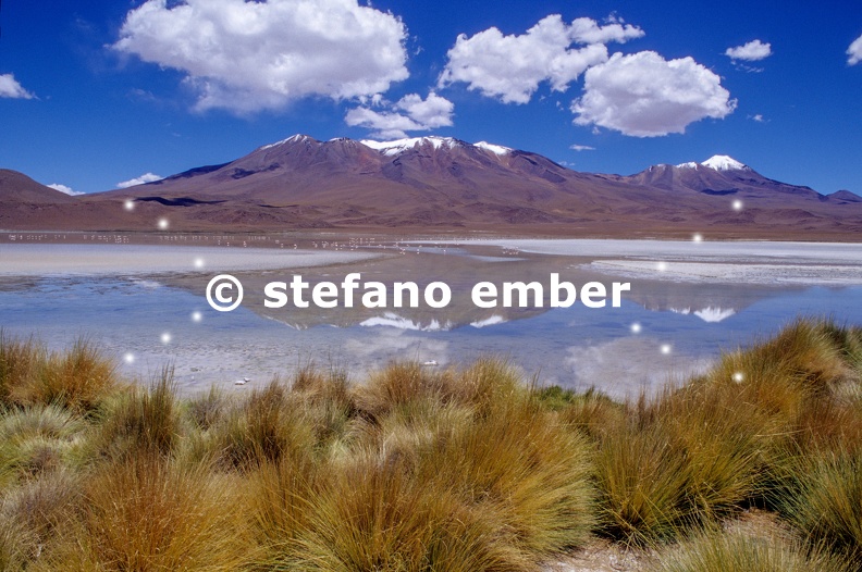 Hedionda lagoon on Santa de Ayes National Park in Bolivia andes