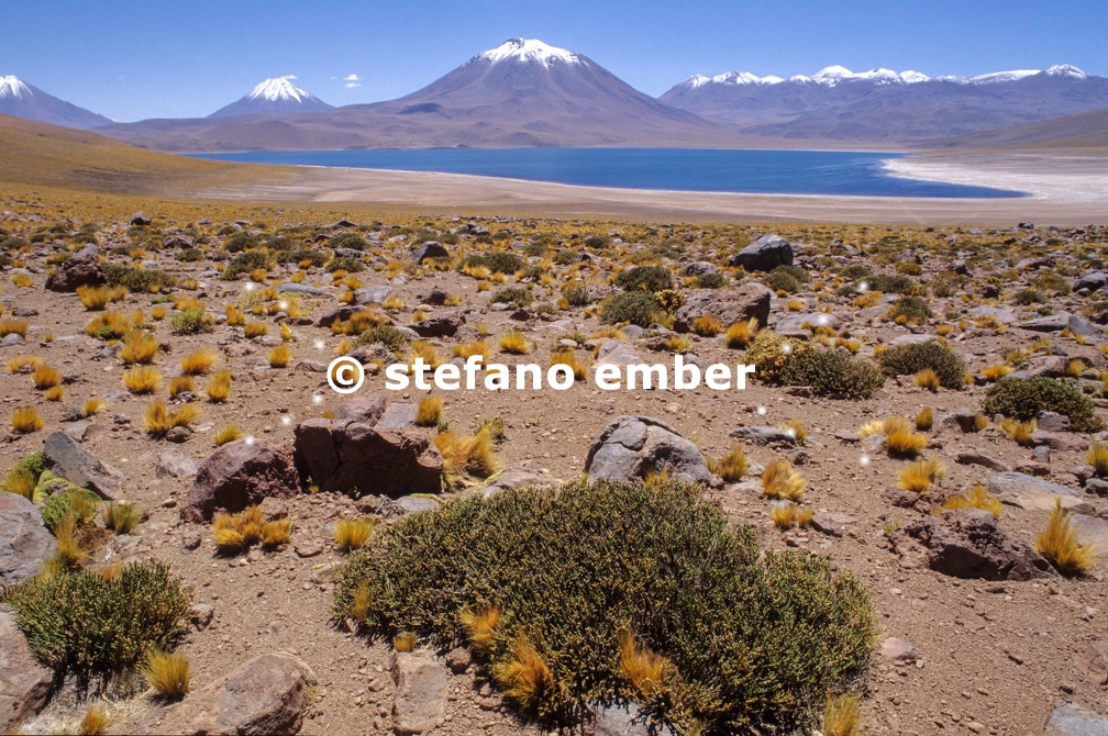 Lake Miscanti on Atacama desert