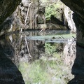 Forest with a cenote at Giron