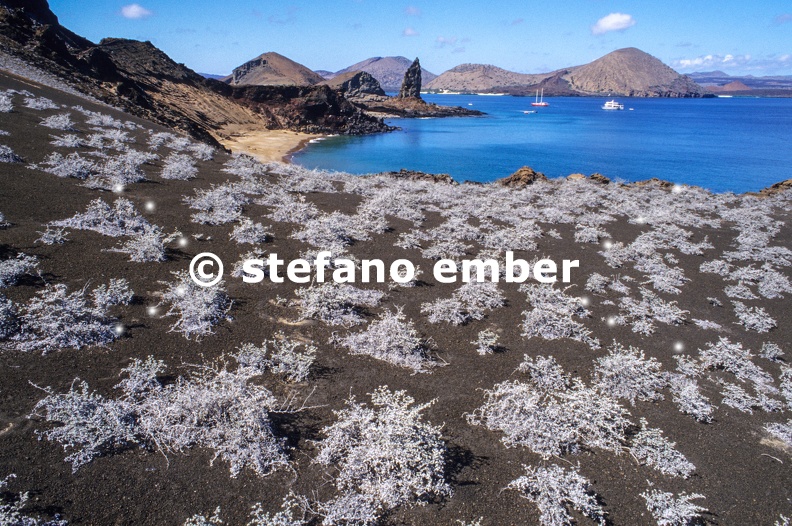 Bartolome_Island_in_the_Galapagos_Islands.jpg