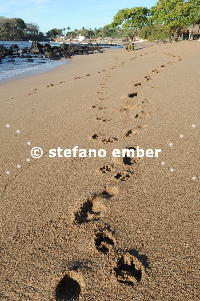 Footprint_on_the_beach_of_Los_Cobanos.jpg
