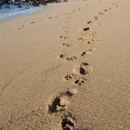 Footprint on the beach of Los Cobanos