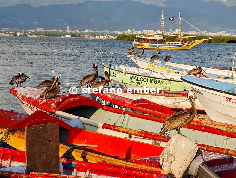 View_at_the_port_of_Port_Royal.jpg