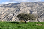 Desertic mountains over dead sea