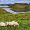 Rural Landscape of lake Myvatn