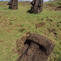 Moais statues on easter island