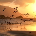 Sunset_at_the_beach_of_Qalansiya_.jpg