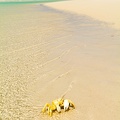 The_beach_of_Qalansiya_.jpg