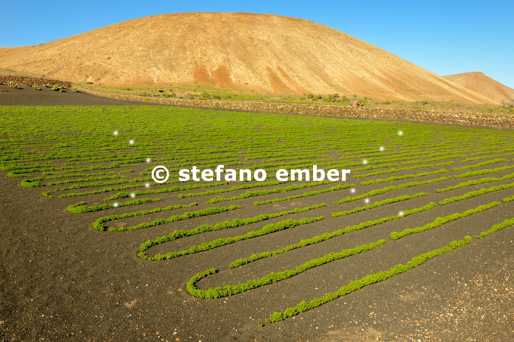 Agricultural cultivation on volcanic soil