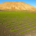 Agricultural_cultivation_on_volcanic_soil.jpg