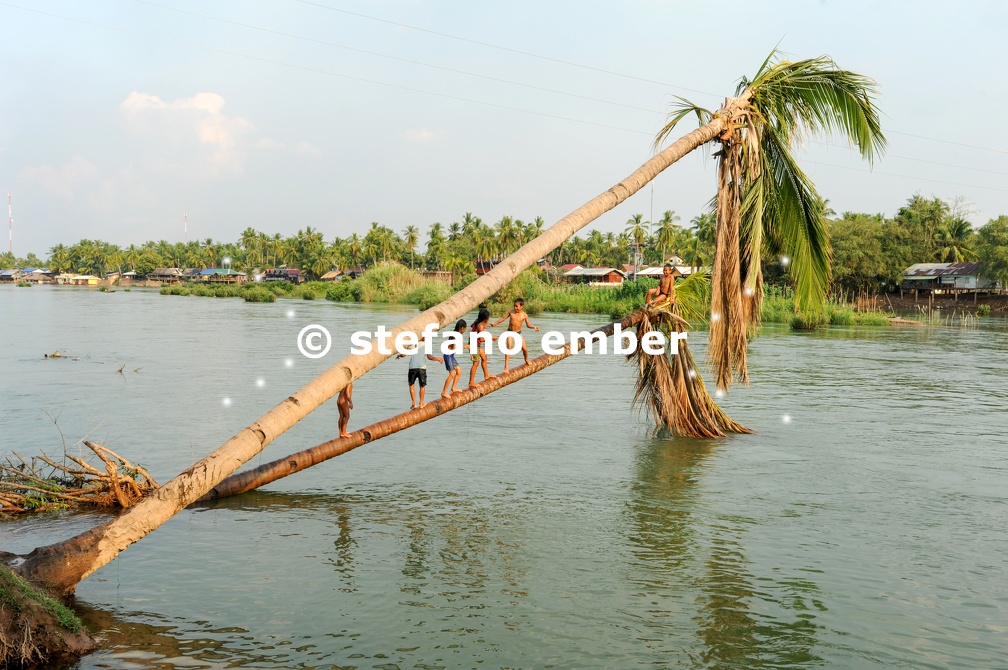 Children diving into the water from a palm tree on river Mekong at Don Det island