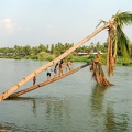 Children diving into the water from a palm tree on river Mekong at Don Det island