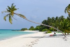 The beach of Villa Park resort on Ari atoll