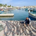The_fishing_village_of_Marsaxlokk.jpg