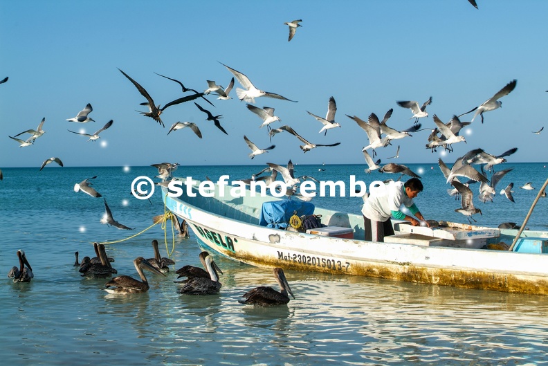 Fisherman_on_his_boat_at_the_beach_of_Holbox_island.jpg