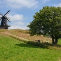 Old wodden windmill at Molle
