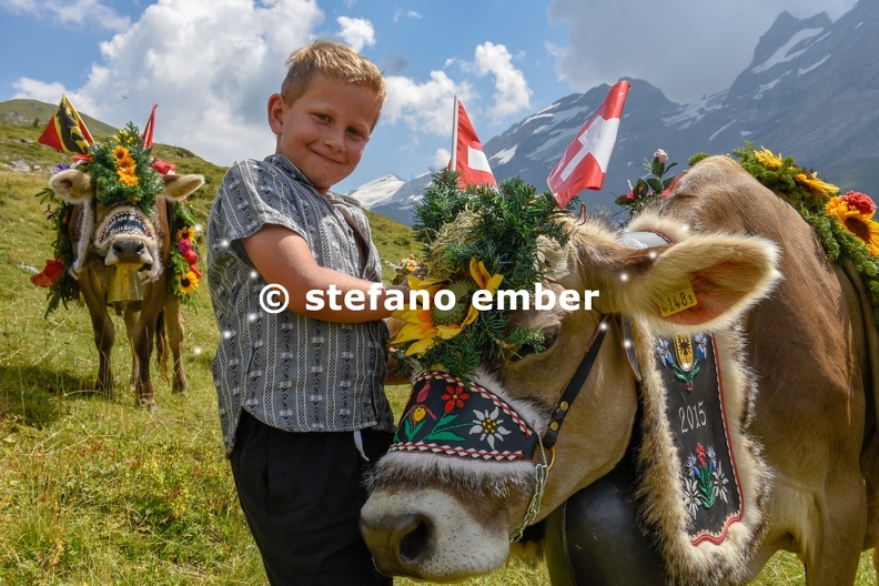 Boy_and_decorated_cow_on_the_annual_transhumance_at_Engstlenalp.jpg