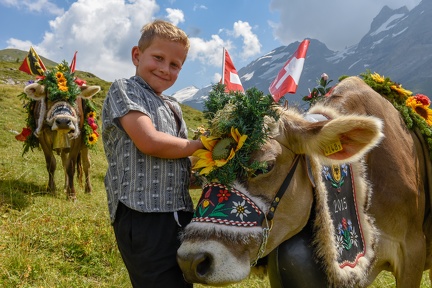 Boy and decorated cow on the annual transhumance at Engstlenalp